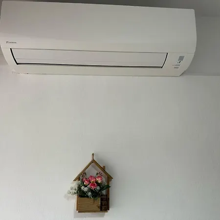 Volga Cozy * Dıraç